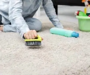 راهکار جمع کردن موهای بلند و کوتاه از روی فرش 