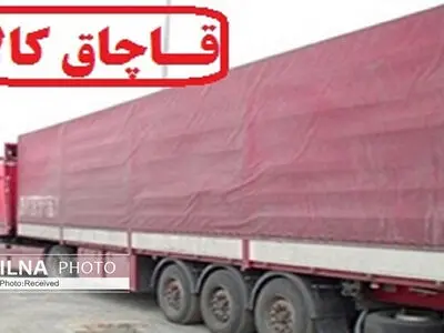 توقیف محموله 40 میلیاردی ماهی قاچاق در جاسک  