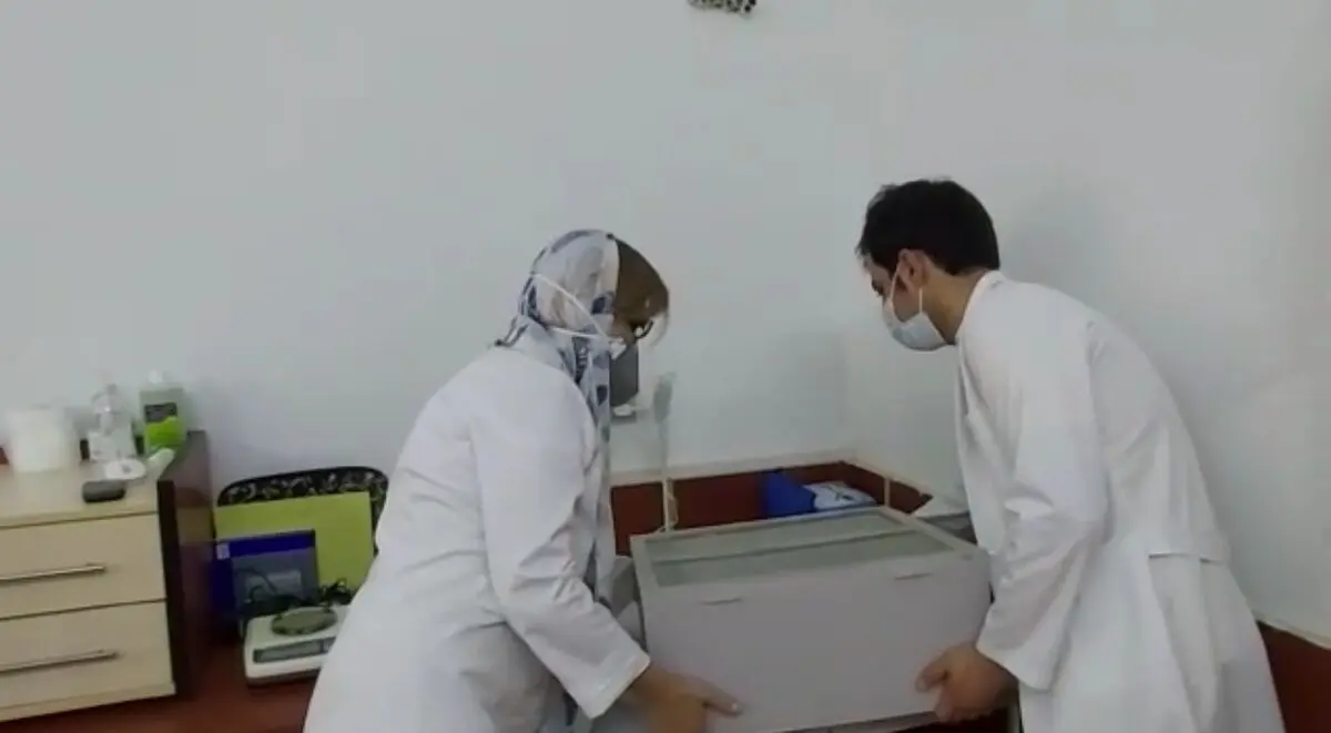 بقایای پارچه‌های کربونیزه شده تخت جمشید ساماندهی شد