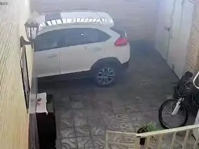 asdasd