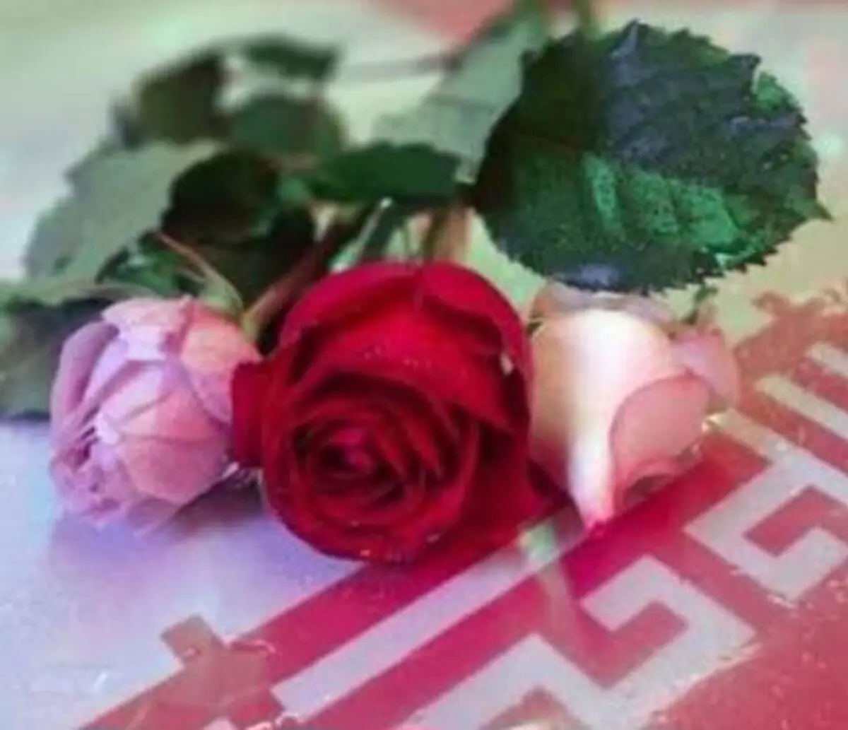 ​اهدای گل به تعداد شهدای جنگ رمضان در راهپیمایی غدیر