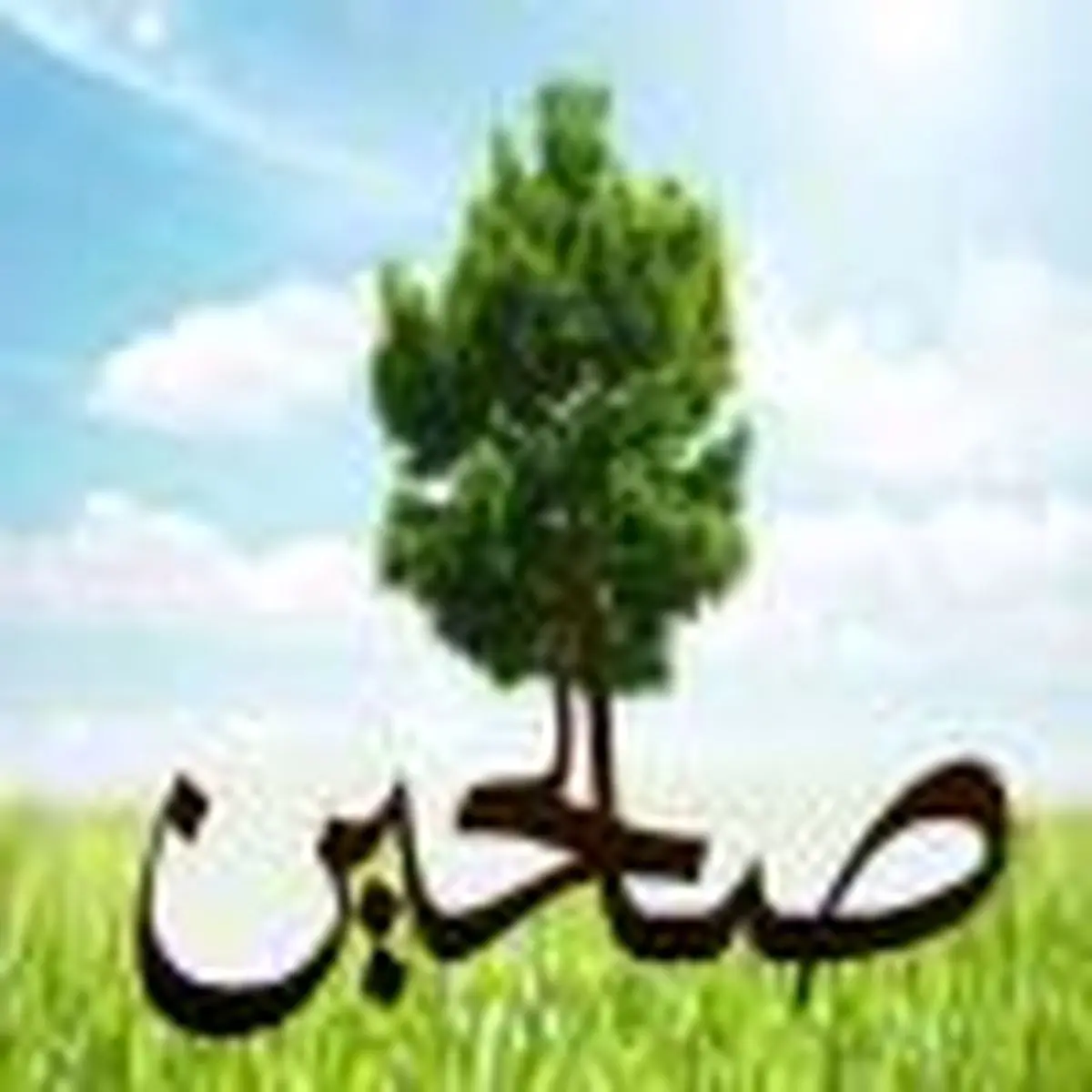 شجره طیبه صالحین گروه صنعتی بارز 