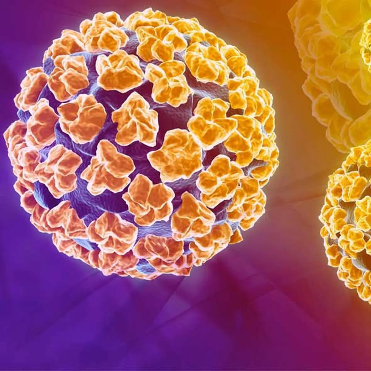 درمان ویروس HPV با روش های طب سنتی
