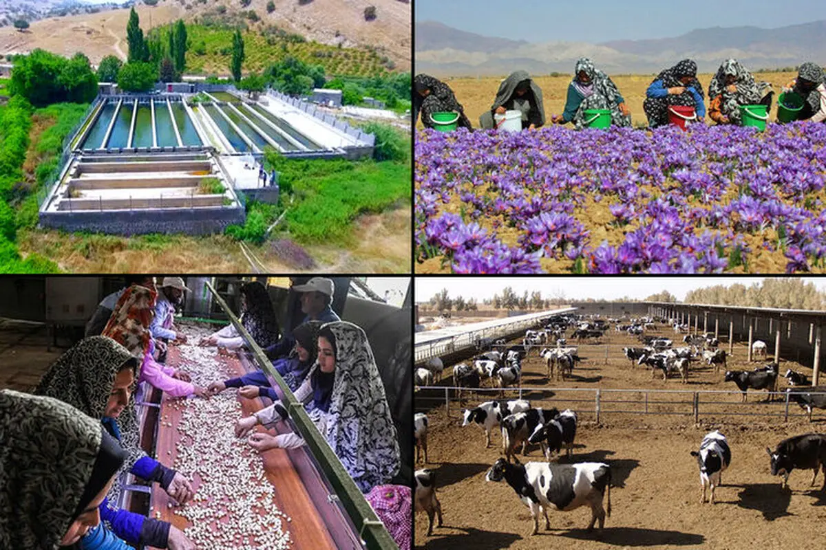 اعطای تسهیلات به 2413 طرح اشتغال روستایی در استان مرکزی 