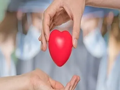 اهداء زندگی 6 بیمار مرگ مغزی به 20 بیمار در استان مرکزی