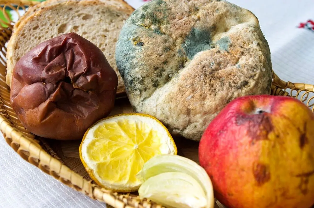 کپک‌هایی که وجودشان در مواد غذایی خطرناک است