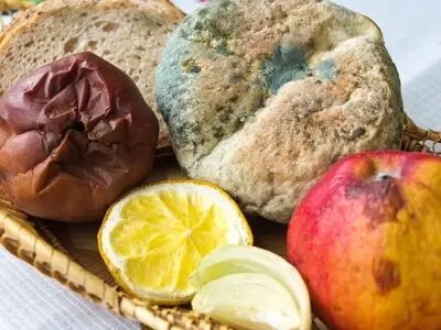 کپک‌هایی که وجودشان در مواد غذایی خطرناک است