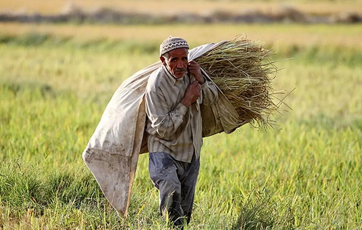 بازنشستگانی که ۲ میلیون تومان حقوق می‌گیرند!/ صندوق بیمه اجتماعی روستاییان نیازمند اصلاحات است