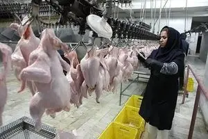 تأمین انرژی، نوسانات قوانین صادراتی و هزینه‌های ناشی از ارتقاء استانداردها؛ چالش‌های کشتارگاه‌های استان مرکزی