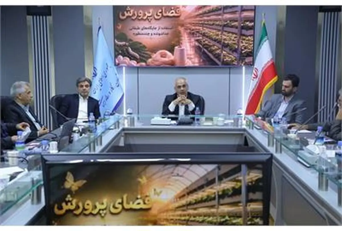 زیرساخت‌های توسعه زنجیره ارزش نوغانداری در سراسر کشور فراهم می‌شود
