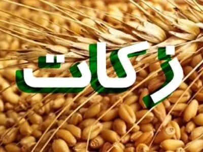 ۸۶ میلیارد تومان توسط شوراهای زکات گلستان جمع آوری و بین نیازمندان توزیع شد