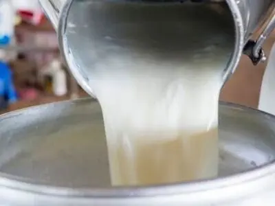 تعطیلیِ سه ساله‌ی کارخانه شیر شهرستان بردسکن به علت بدهی به بانک 