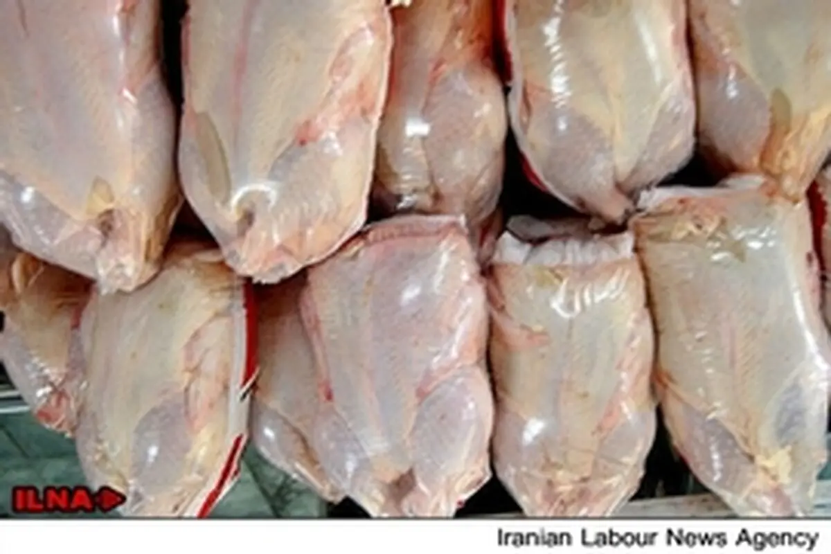 صنعت مرغداری روبه نابودی است