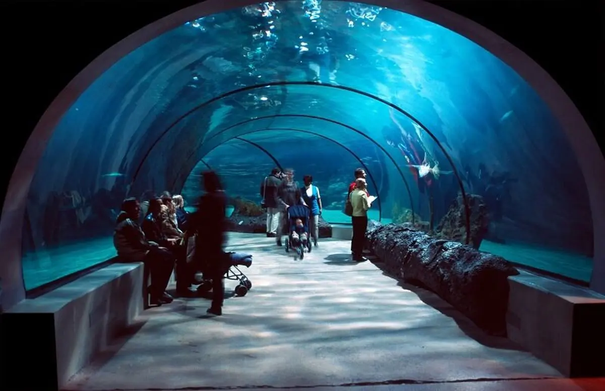 «ذهن آبی» چطور استرس را کاهش می‌دهد؟