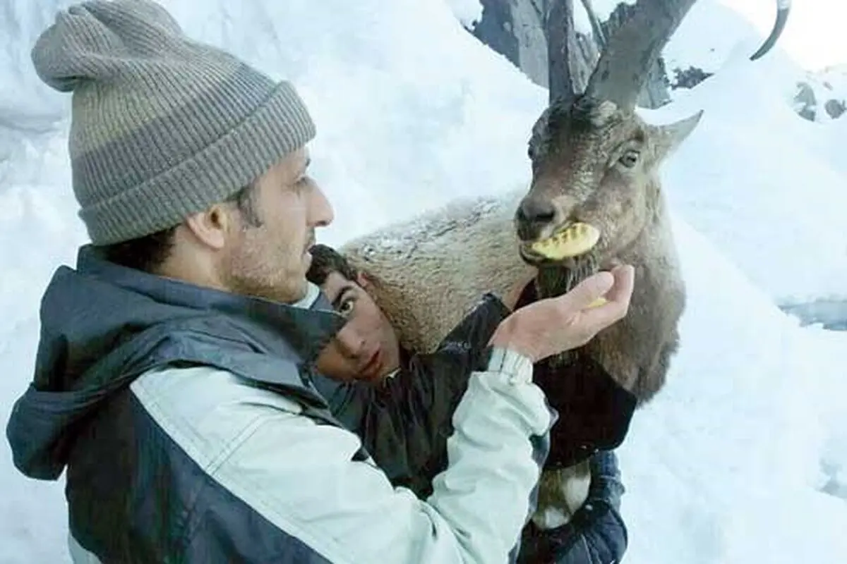 داستان عجیب بز به دوش‌ها در برف(عکس)