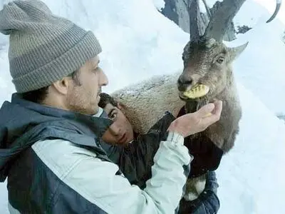 داستان عجیب بز به دوش‌ها در برف(عکس)
