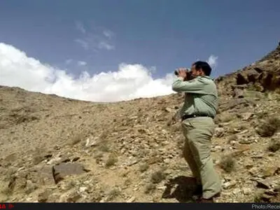 شهادت و زخمی‌شدن محیط‌بانان گلستان در درگیری با شکارچیان غیرمجاز