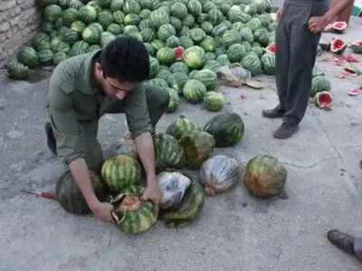 کشف ۱۰۰ کیلو تریاک در بار هندوانه/ دستگیری یک قاچاقچی