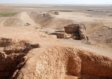 دنده‌های شکسته نوزاد ۶هزار ساله، احتمال یکی از قدیمی‌ترین موارد کودک آزاری در جهان 