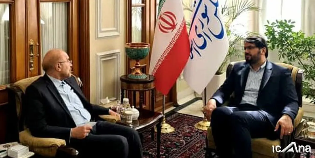 رئیس مجلس با رئیس دیوان محاسبات دیدار کرد