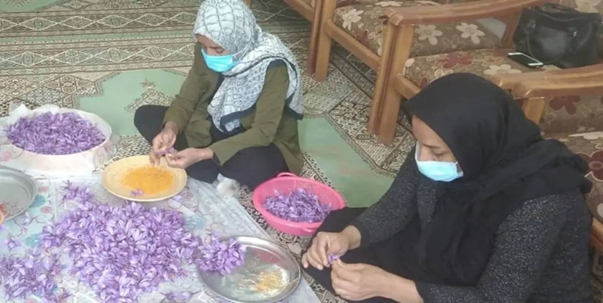 ۸۸۸ طرح تعاونی در کشور افتتاح شد