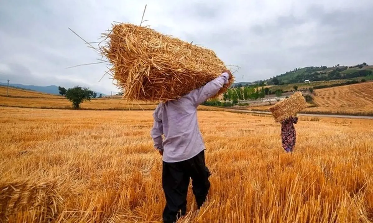 پرداخت تسهیلات ۳۸۲ میلیارد تومانی برای اشتغال روستایی در کردستان