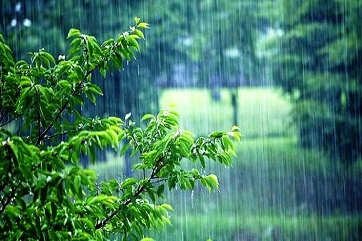 آغاز بارش باران از روز سه‌شنبه 11 آذر ماه در خراسان رضوی