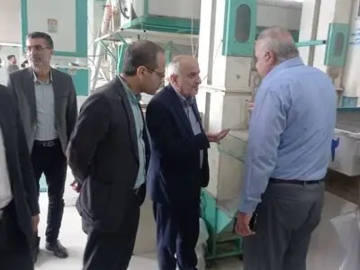 اعلام آمادگی بخش خصوصی برای ساخت پالایشگاه برنج با سرمایه گذاری ۲۵۰ میلیارد تومانی در گیلان