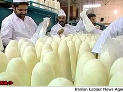 «قند ورامین» تعطیل شد؛ ۴۰۰ کارگر بیکار شدند