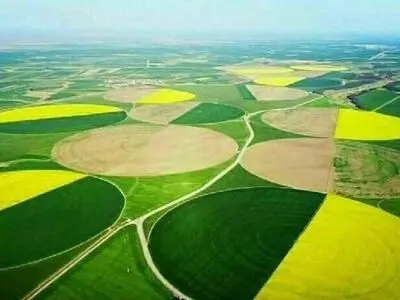نظارت مستمر دستگاه قضا بر نحوه واگذاری کشت و صنعت مغان/ حقوق آبان کارگران پرداخت شد