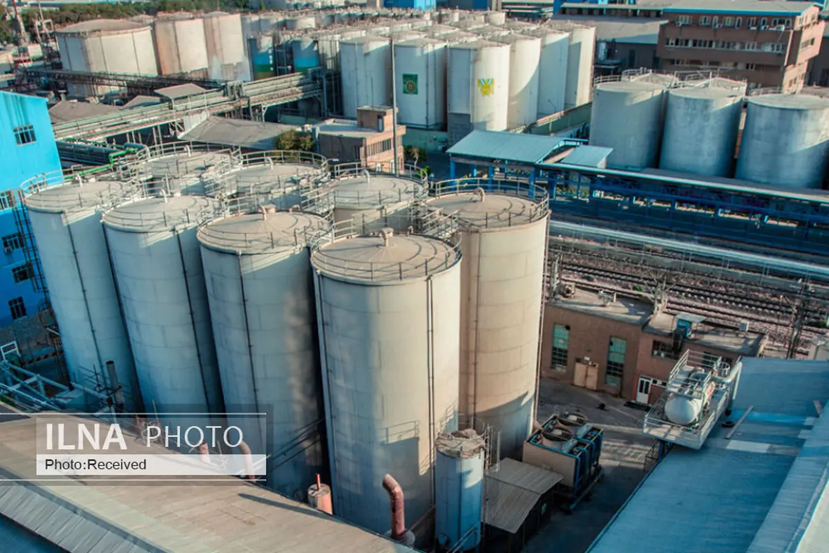 کارگران شرکت لادن بهشهر: شرکت‌های پیمانکاری را حذف کنید/ دستمزد و بیمه باثبات نداریم/ کارفرما: حذف پیمانکاری‌ها غیرممکن است/ مشکل بیمه مرتفع می‌شود