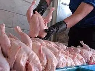 توزیع روزانه 120 تن مرغ گرم در شهرستان اراک 