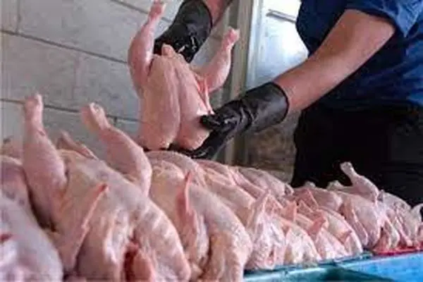 توزیع روزانه 120 تن مرغ گرم در شهرستان اراک 