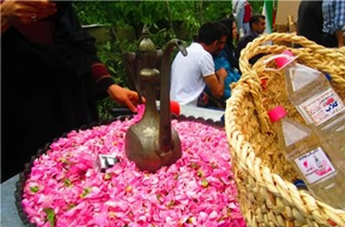 جشنواره گل محمدی دودانگه ثبت ملی می شود