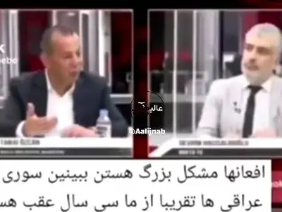 انتقاد تند کارشناس برنامه تلویزیونی کشور ترکیه‌ از حضور مهاجران افغانستان در ترکیه + فیلم