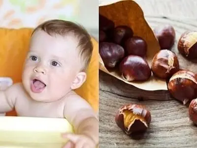خاصیت شگفت انگیز فندق برای کودکان 
