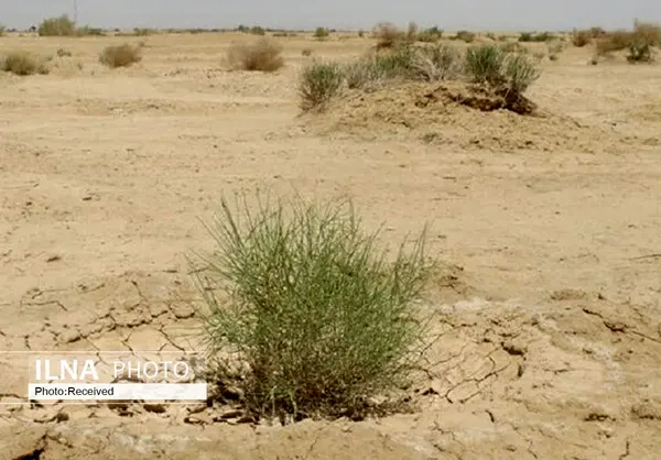 بیش از 306 هزار هکتار از مراتع قشلاقی گلستان در معرض خطر بیابانزایی قرار دارد