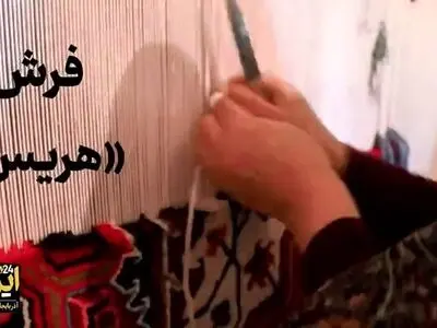 قاب زندگی/ فرش هریس، نگاره‌ای زنده از فرهنگ و زندگی + فیلم