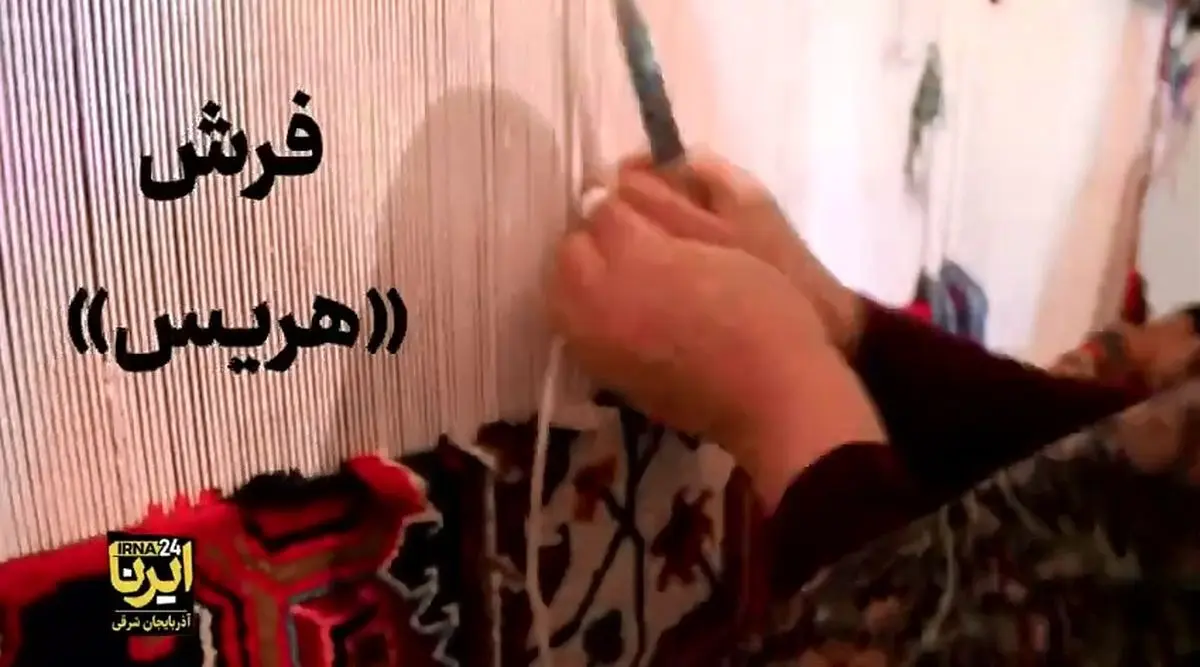 قاب زندگی/ فرش هریس، نگاره‌ای زنده از فرهنگ و زندگی + فیلم