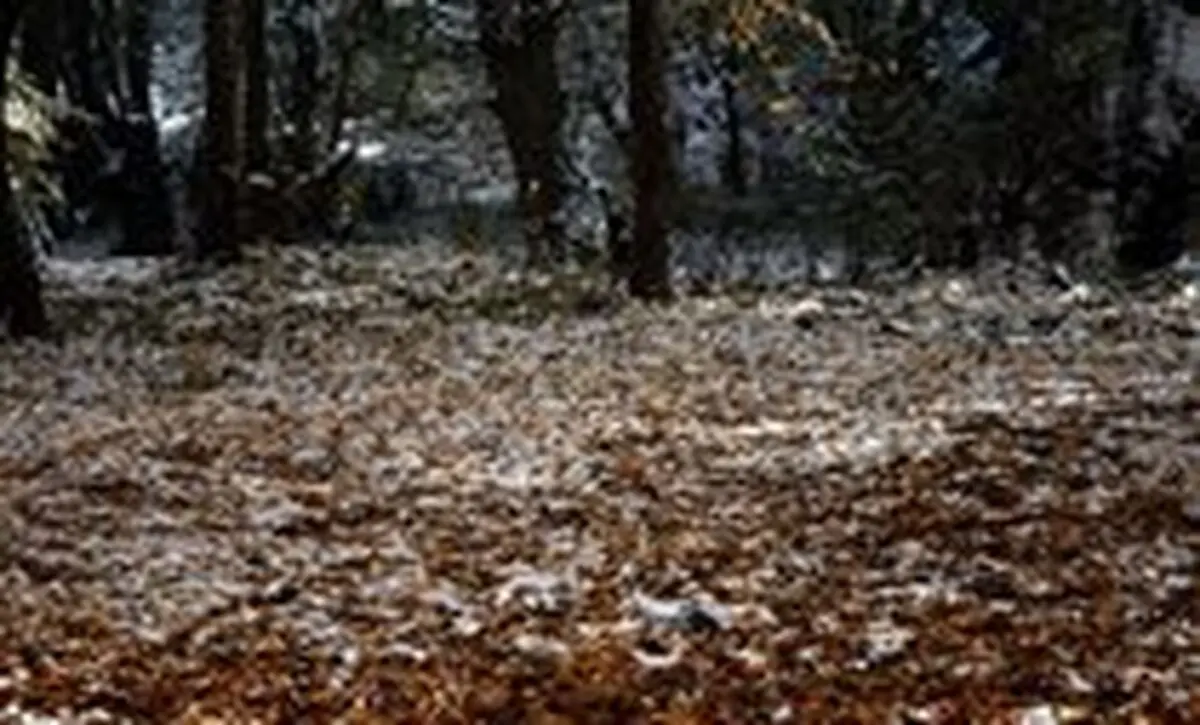 کاهش 30 درصدی بارش‌ها در حوضه خلیج فارس و دریای عمان/ استمرار کاهش بارندگی در حوضه دریاچه ارومیه