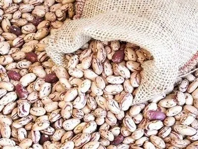 دلایل گرانی غیرعادی قیمت لوبیا چیتی/ «حباب» به حبوبات هم رسید!