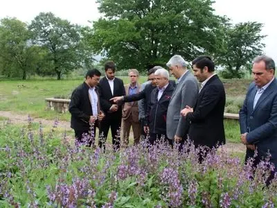 توسعه کشت گیاهان دارویی؛ مسیر ایجاد ارزش افزوده و بهره‌برداری پایدار از اراضی شیبدار استان