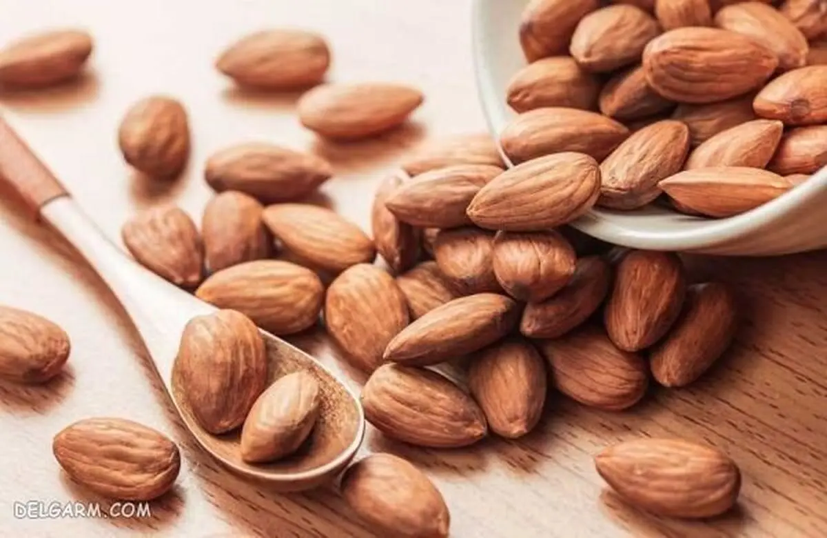 حقیقت درباره خوردن بادام با پوست | آیا واقعاً سالم است یا یک ترند ترسناک دیگر؟