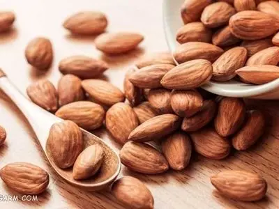 حقیقت درباره خوردن بادام با پوست | آیا واقعاً سالم است یا یک ترند ترسناک دیگر؟