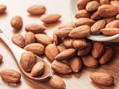 حقیقت درباره خوردن بادام با پوست | آیا واقعاً سالم است یا یک ترند ترسناک دیگر؟
