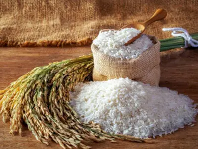 اصول نگهداری برنج خام برای مدت طولانی