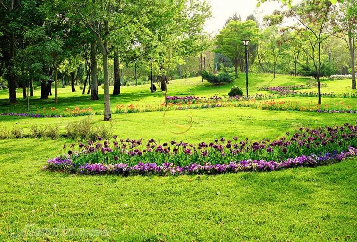 اجرای روش‌های غیر شیمیایی برای کنترل آفات موجود در سطح فضای سبز مشهد