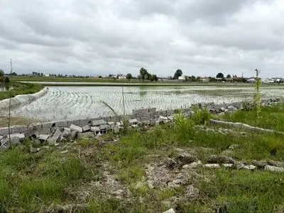 شرایط دیوارکشی اراضی کشاورزی/ با تغییر کاربری غیرمجاز برخورد می‌شود