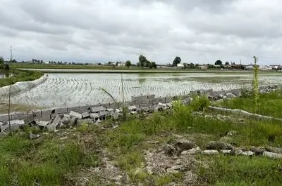 شرایط دیوارکشی اراضی کشاورزی/ با تغییر کاربری غیرمجاز برخورد می‌شود