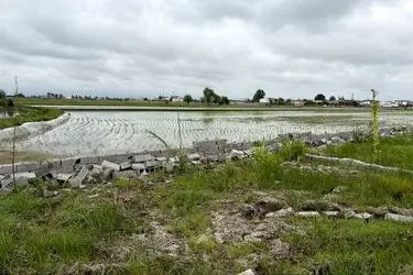 شرایط دیوارکشی اراضی کشاورزی/ با تغییر کاربری غیرمجاز برخورد می‌شود